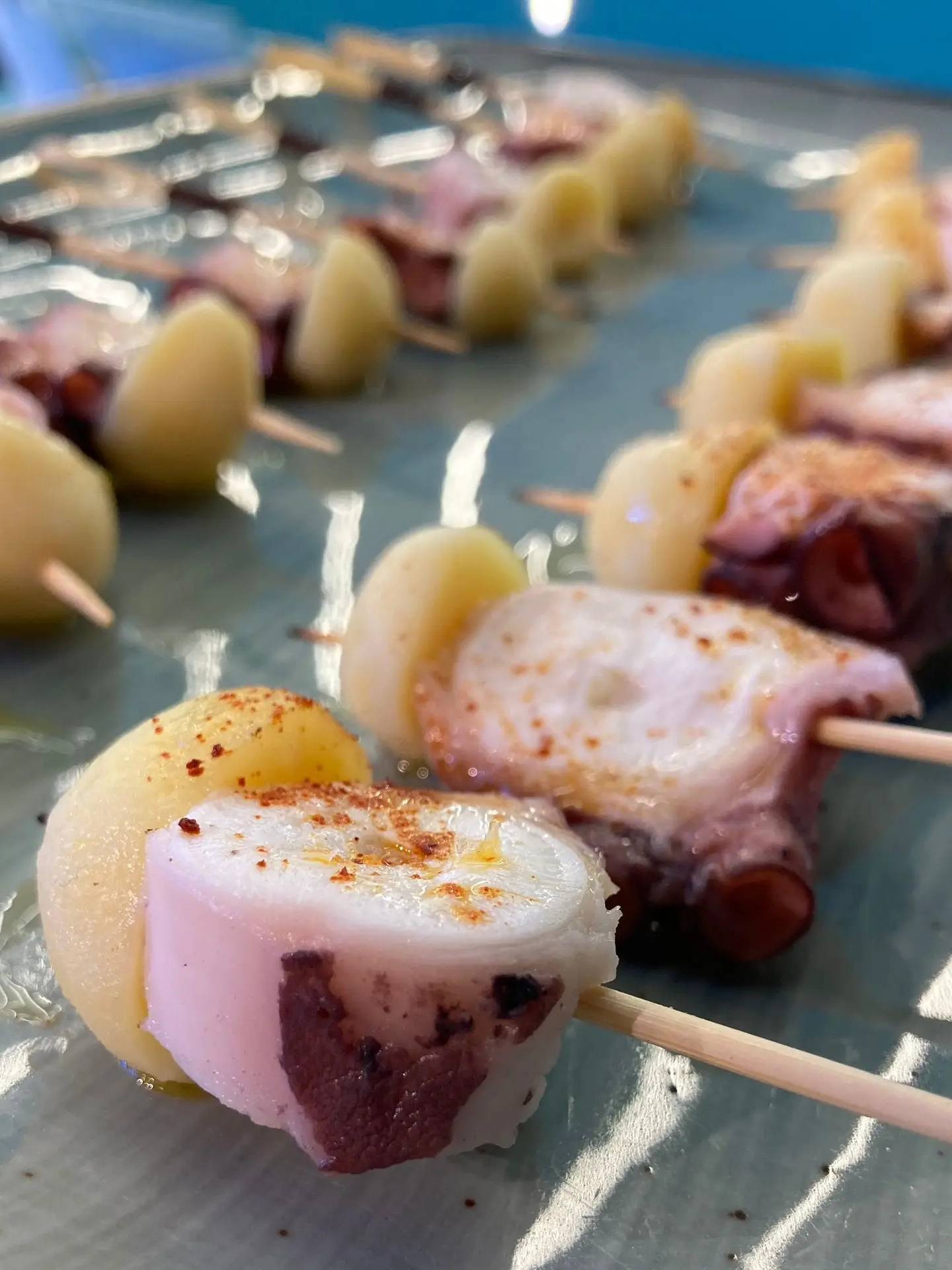 pulpo2.jpg